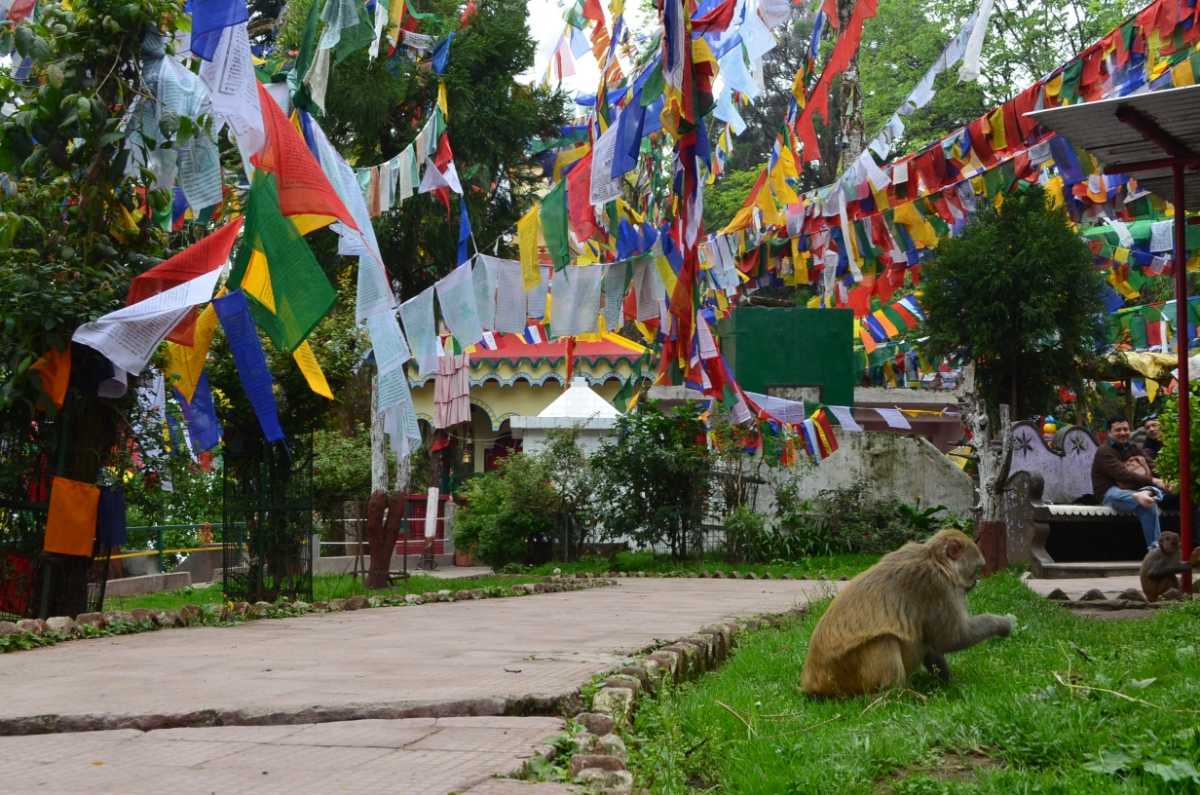 Darjeeling Observatory Hill & Mahakal Temple