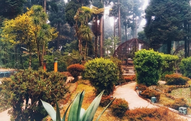 Dowhill Eco Park, Kurseong