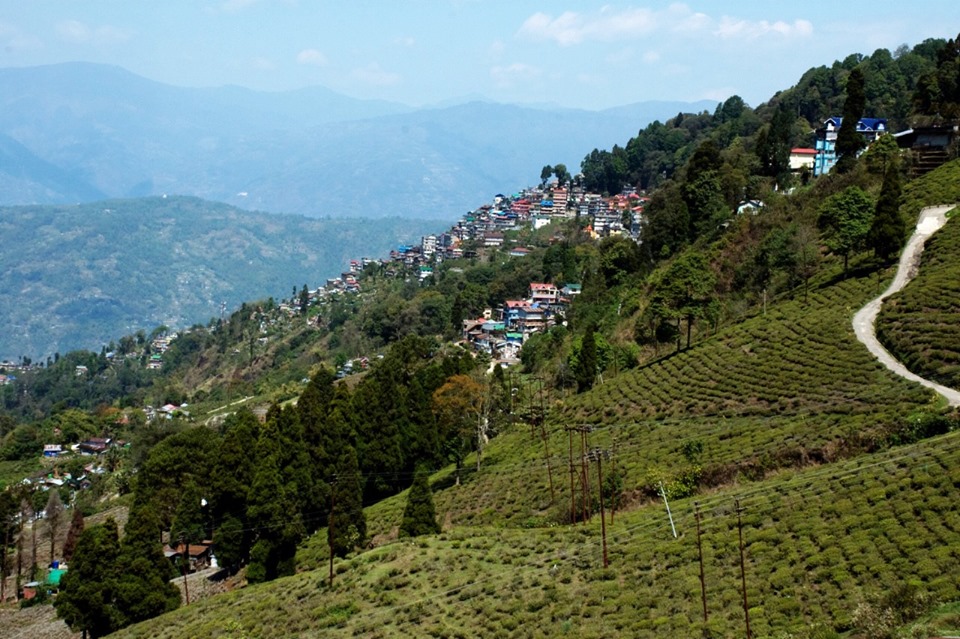 Happy Valley Tea Estate