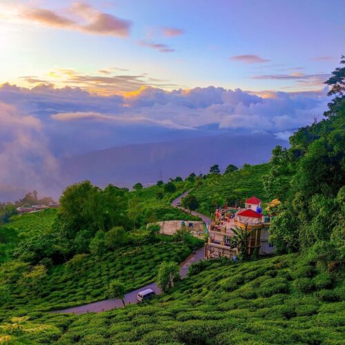 If you’re looking for a truly unique experience, then Kurseong is the place for you.