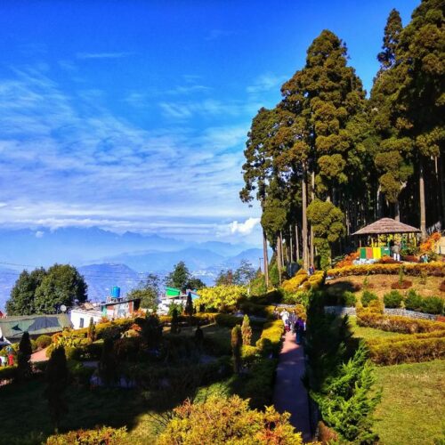 A captivating sight of nature in Lamahatta Park during the spring season.