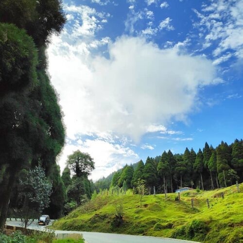 Lepchajagat, Darjeeling By Arunjit Dutta