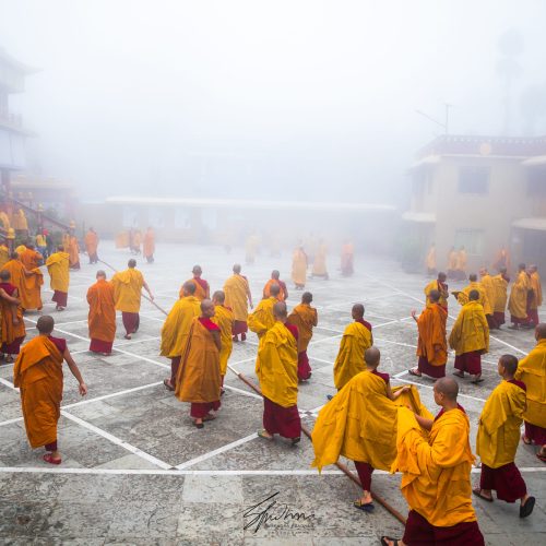 The Buddhist monks back to the prayer hall at the Bokar Monastery.