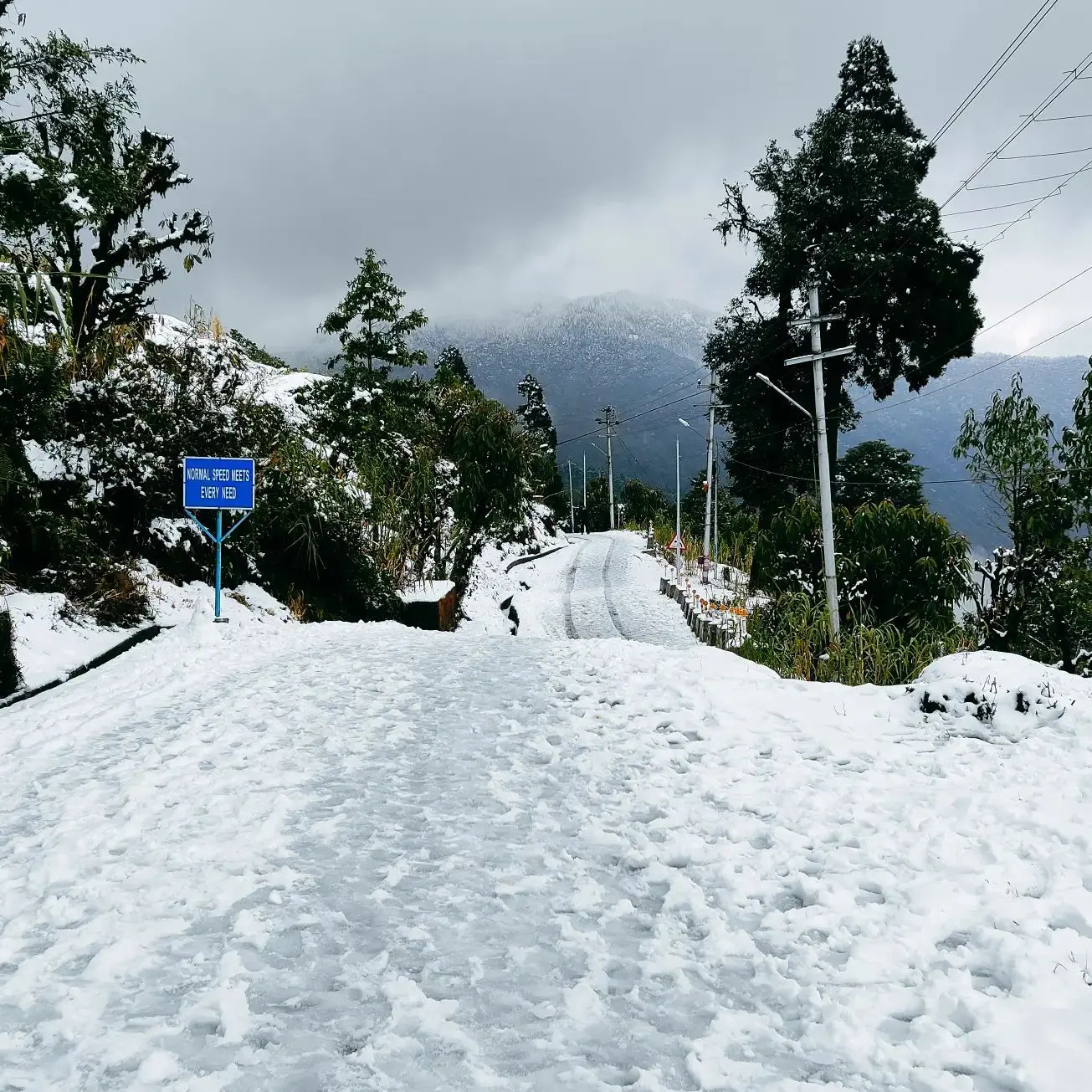 Bagora, Kurseong