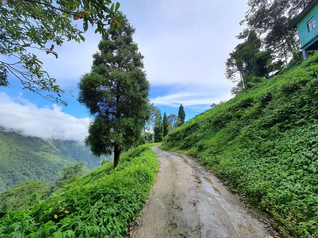 Rangaroon Tea Estate