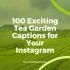 100 Exciting Tea Garden Captions for Your Instagram