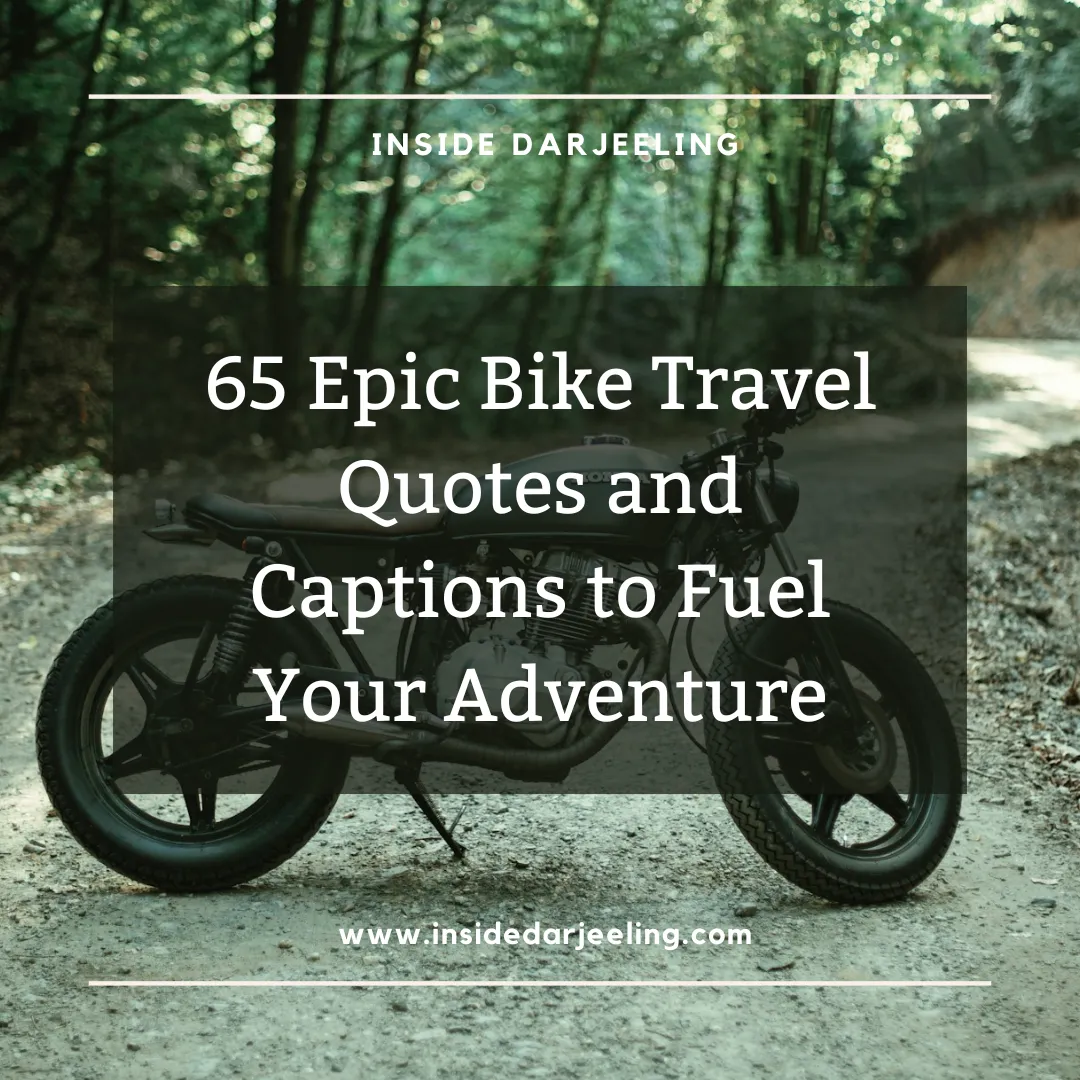 65 Epic Bike Travel Quotes and Captions to Fuel Your Adventure