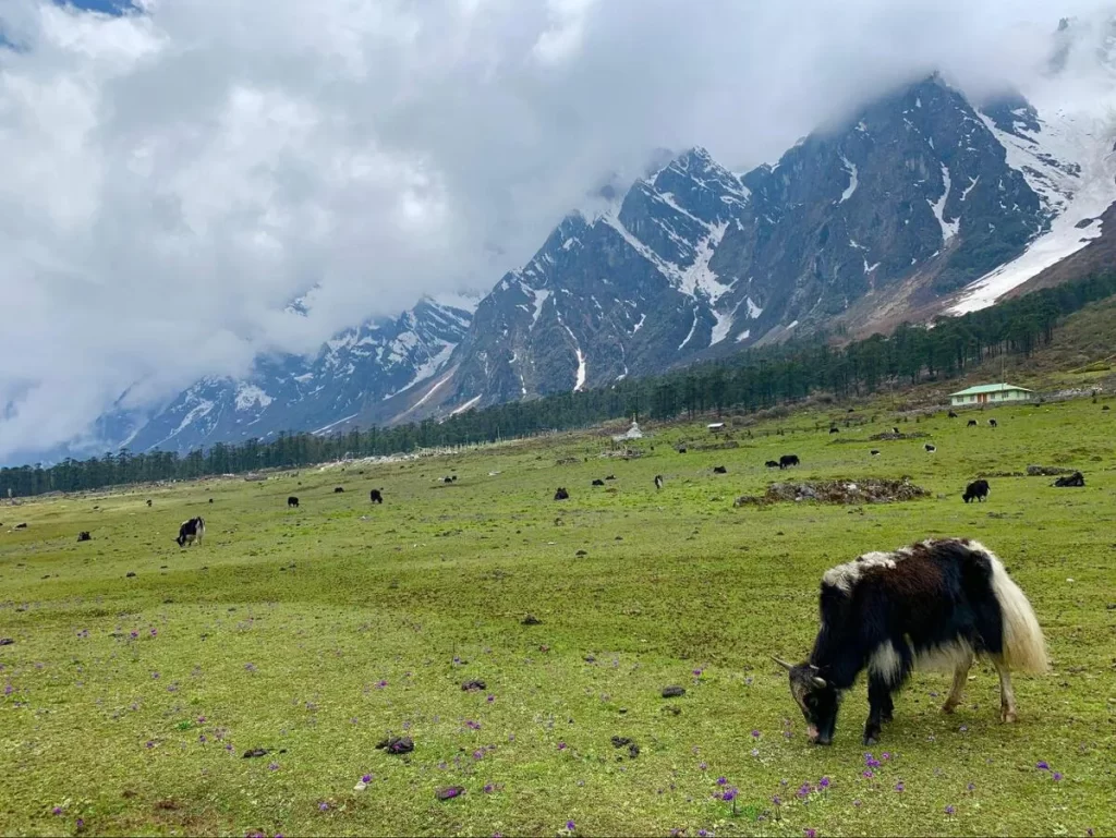 Yumesamdong, Sikkim