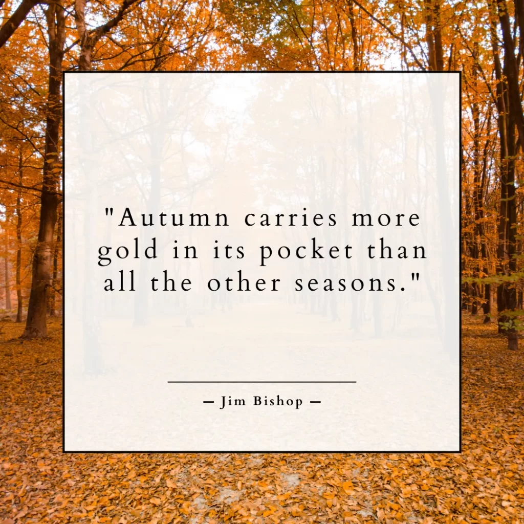 Autumn carries more gold in its pocket than all the other seasons