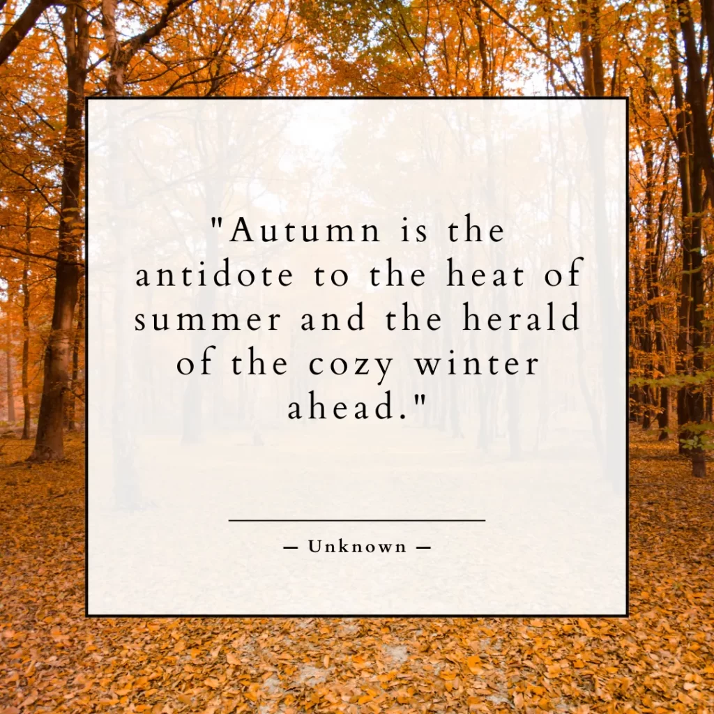 Autumn is the antidote to the heat of summer and the herald of the cozy winter ahead