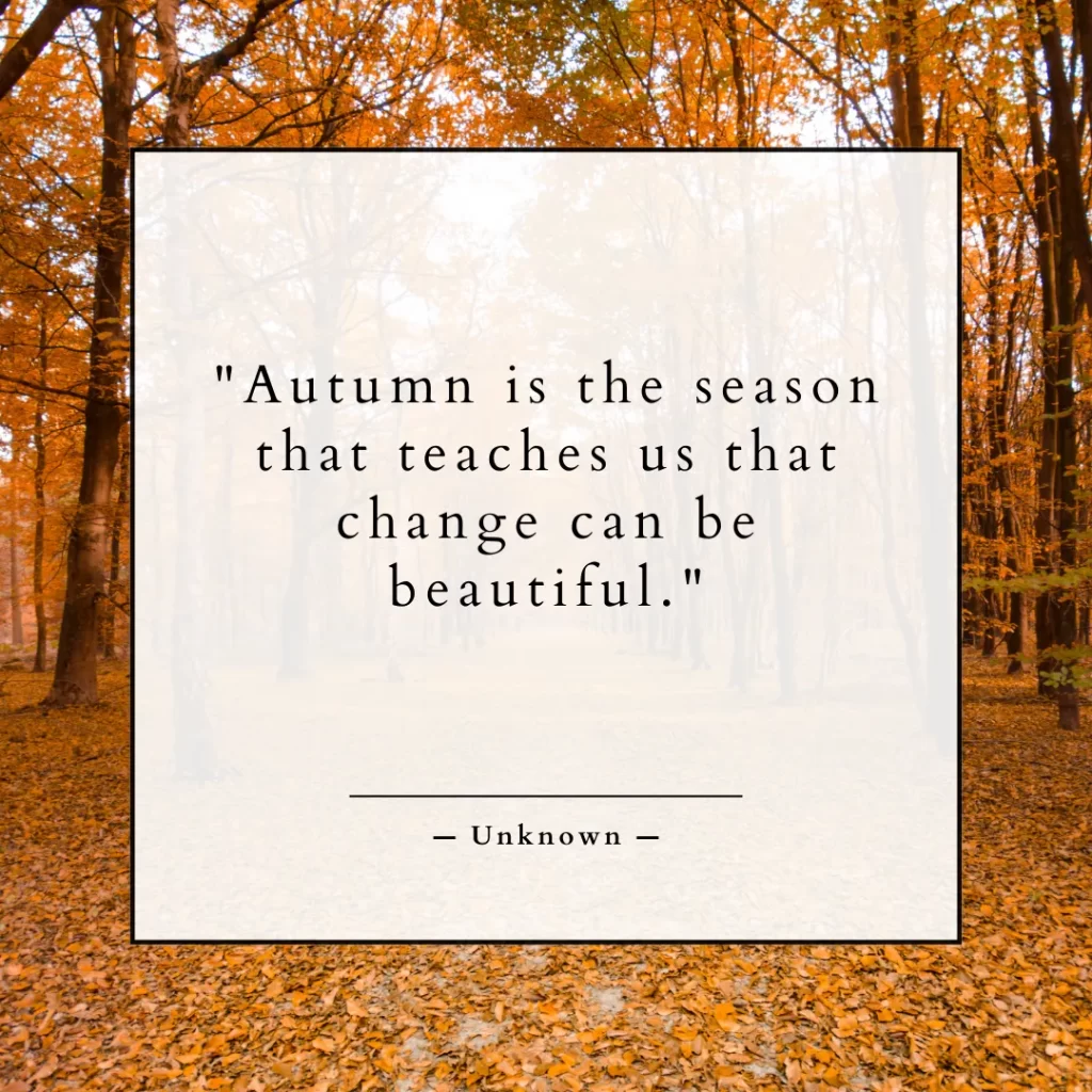 Autumn is the season that teaches us that change can be beautiful