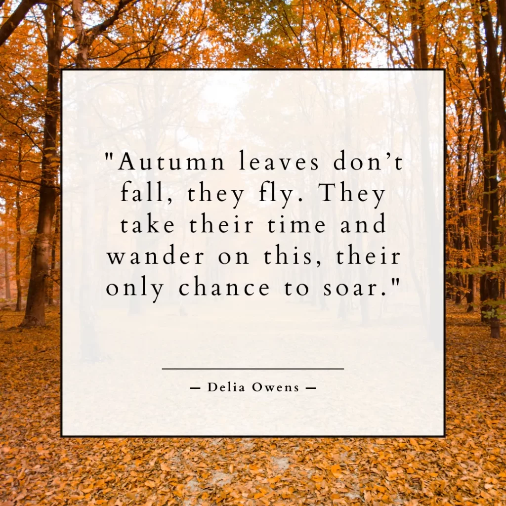 Autumn leaves don’t fall, they fly. They take their time and wander on this, their only chance to soar