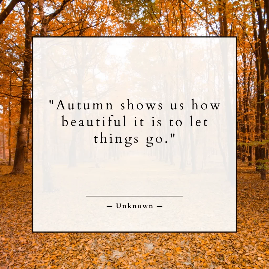 Autumn shows us how beautiful it is to let things go