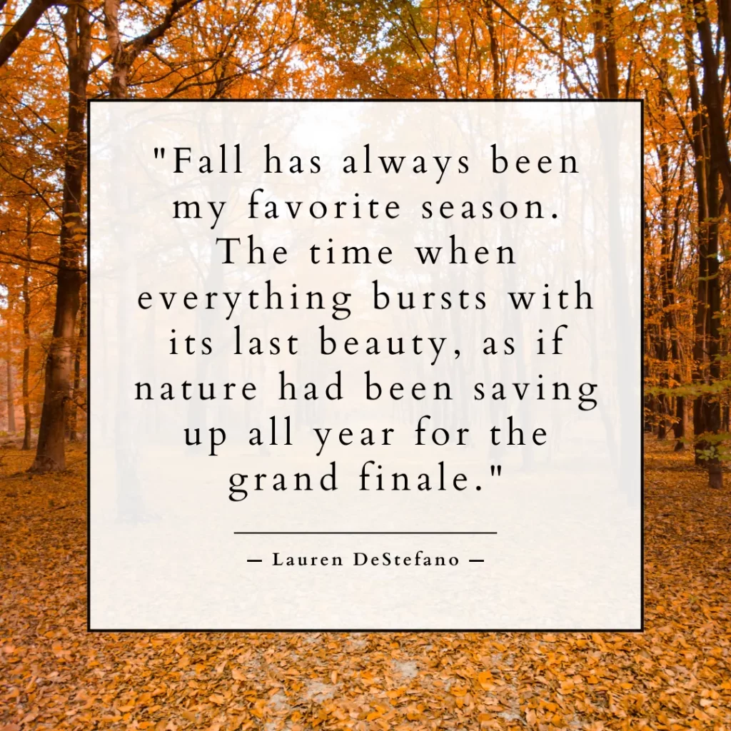 Fall has always been my favorite season. The time when everything bursts with its last beauty, as if nature had been saving up all year for the grand finale