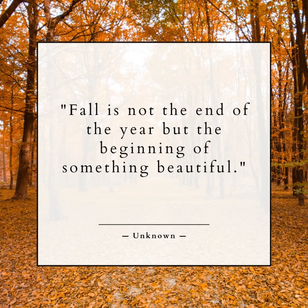 Fall is not the end of the year but the beginning of something beautiful