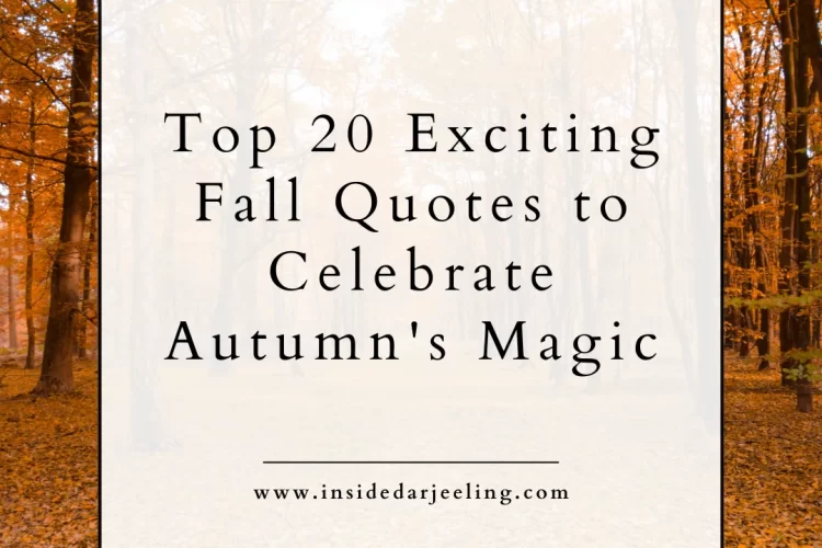 Top 20 Exciting Fall Quotes to Celebrate Autumn’s Magic