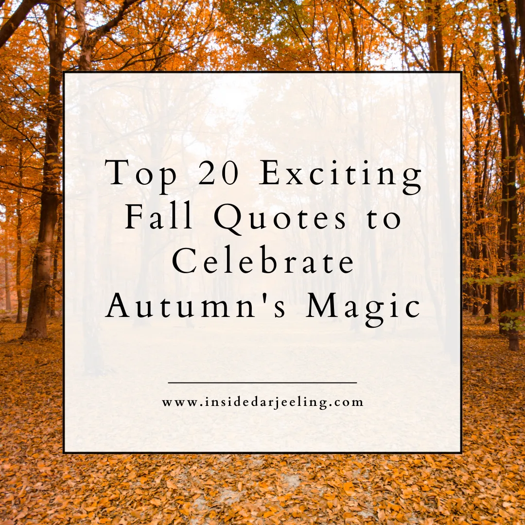 Top 20 Exciting Fall Quotes to Celebrate Autumn's Magic