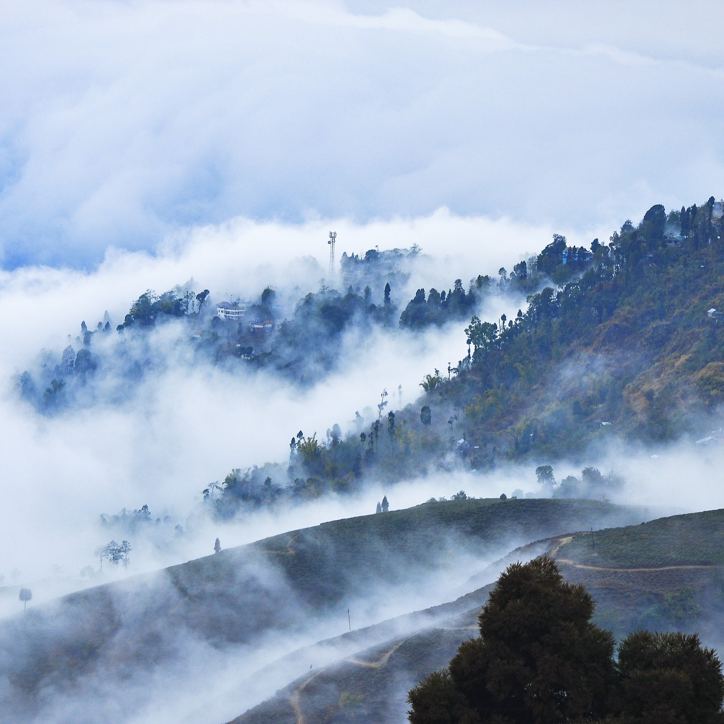 Darjeeling After The Rain By Surendra Pradhan