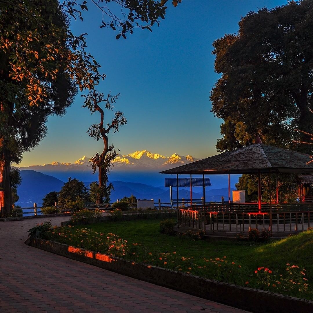 Shrubbery Nightingale Park, Darjeeling | Surendra Pradhan
