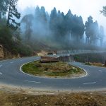 The road to Lava is one of the most beautiful places you can go to in Kalimpong.