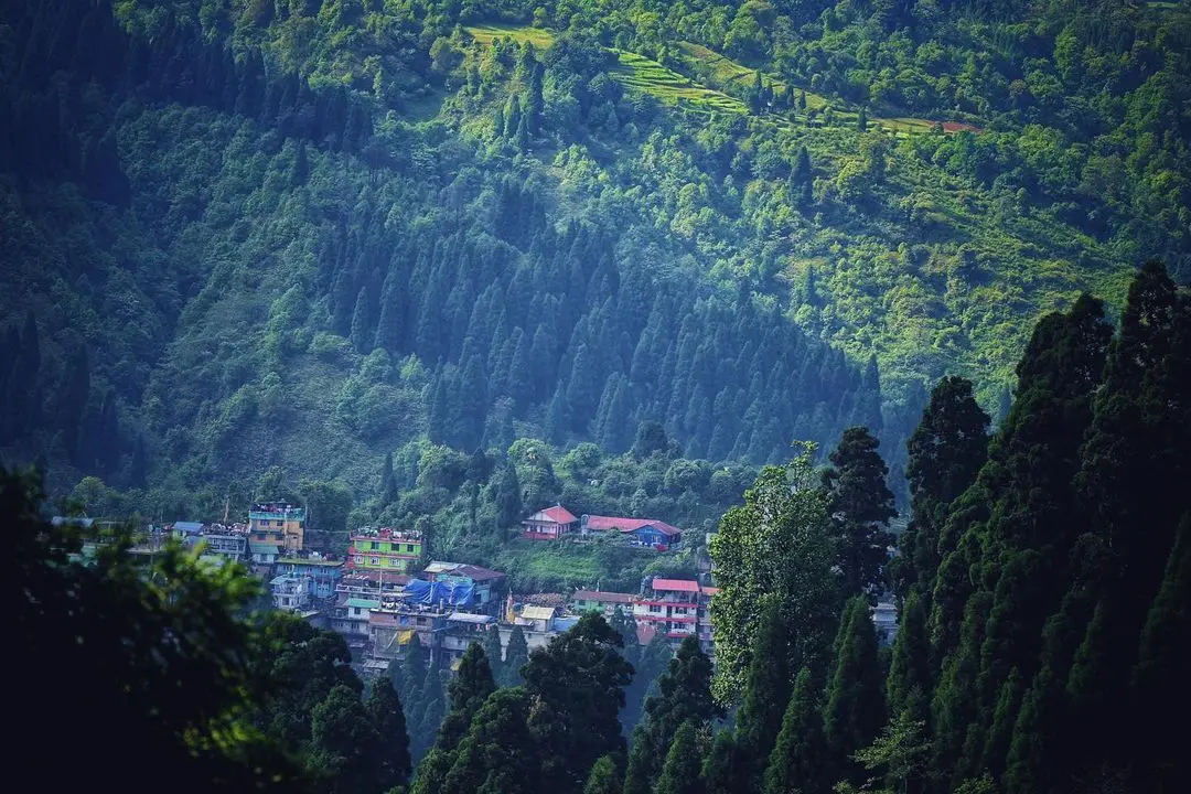 Maneybhanjyang, Darjeeling