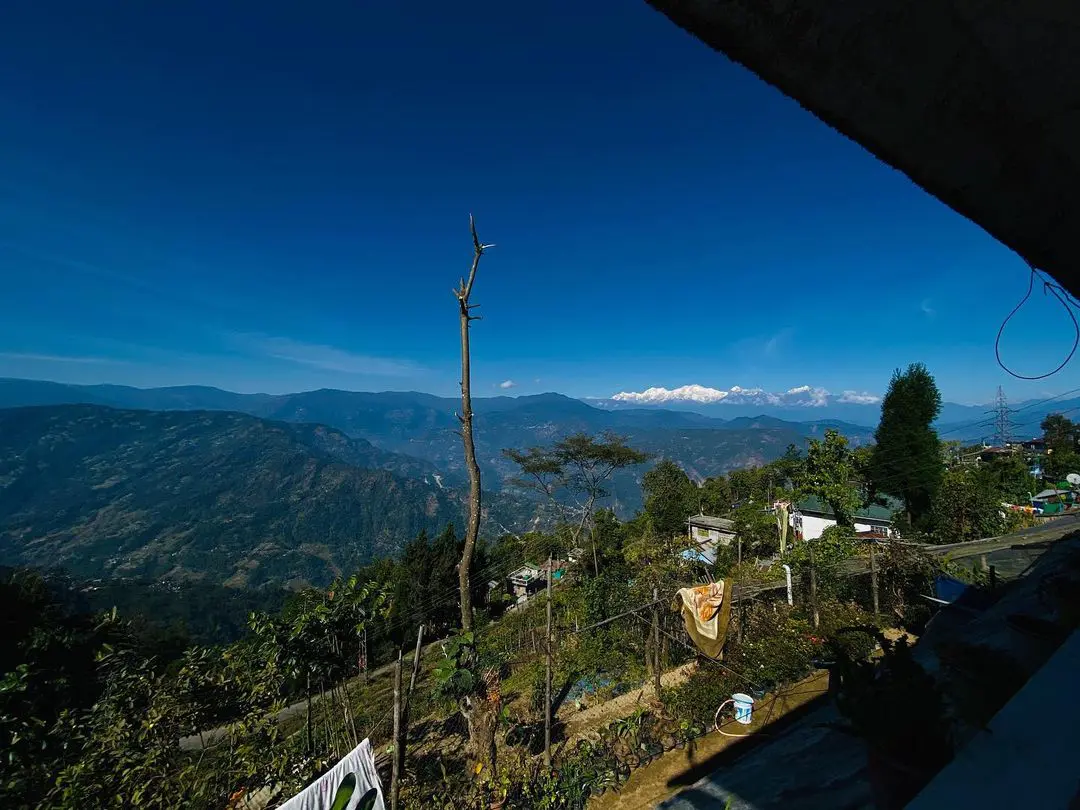 Tukvar Tea Estate, Darjeeling