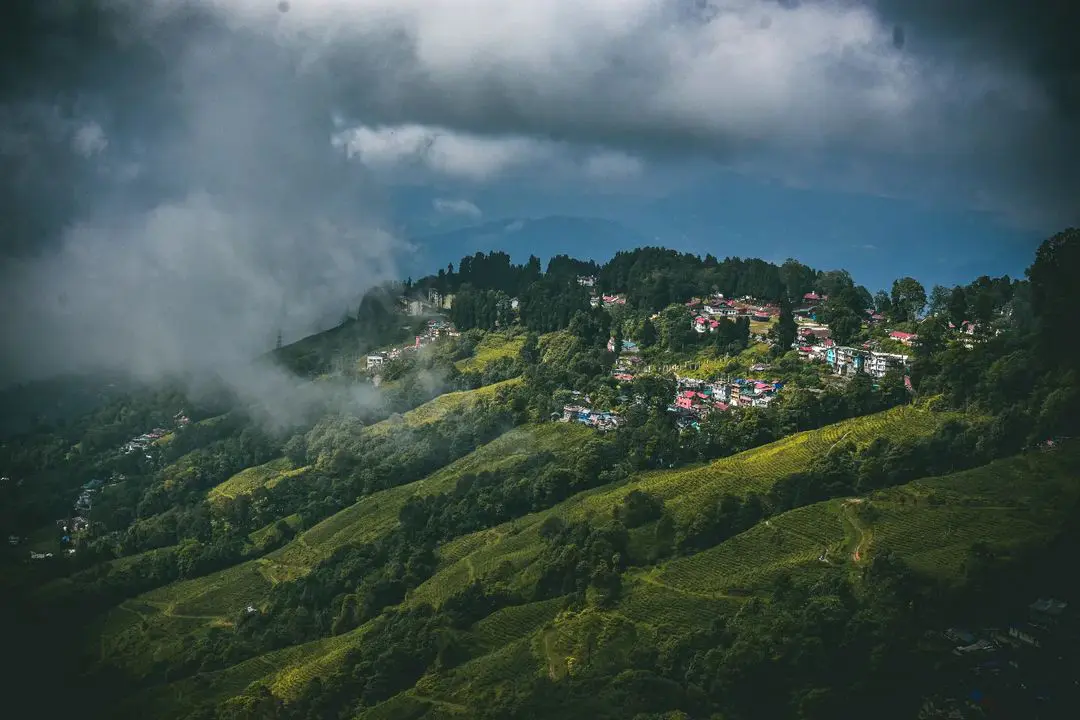 Tumsong Tea Estate, Darjeeling