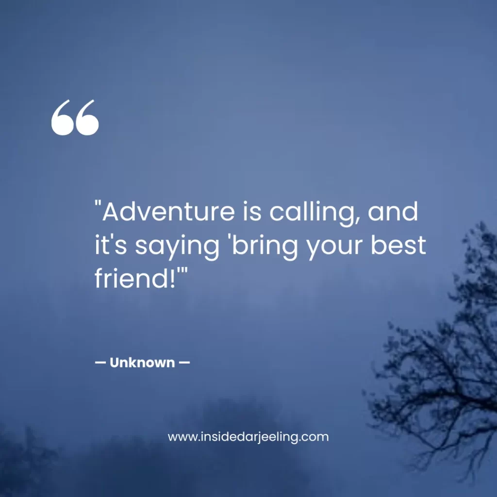 Adventure is calling, and it's saying 'bring your best friend