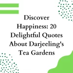 Discover Happiness: 20 Delightful Quotes About Darjeeling's Tea Gardens