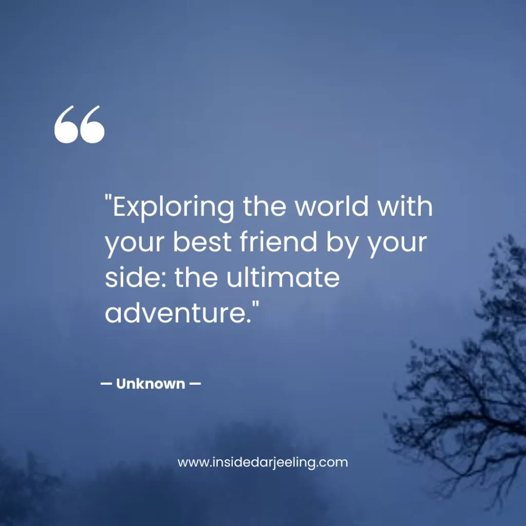Exploring the world with your best friend by your side: the ultimate adventure