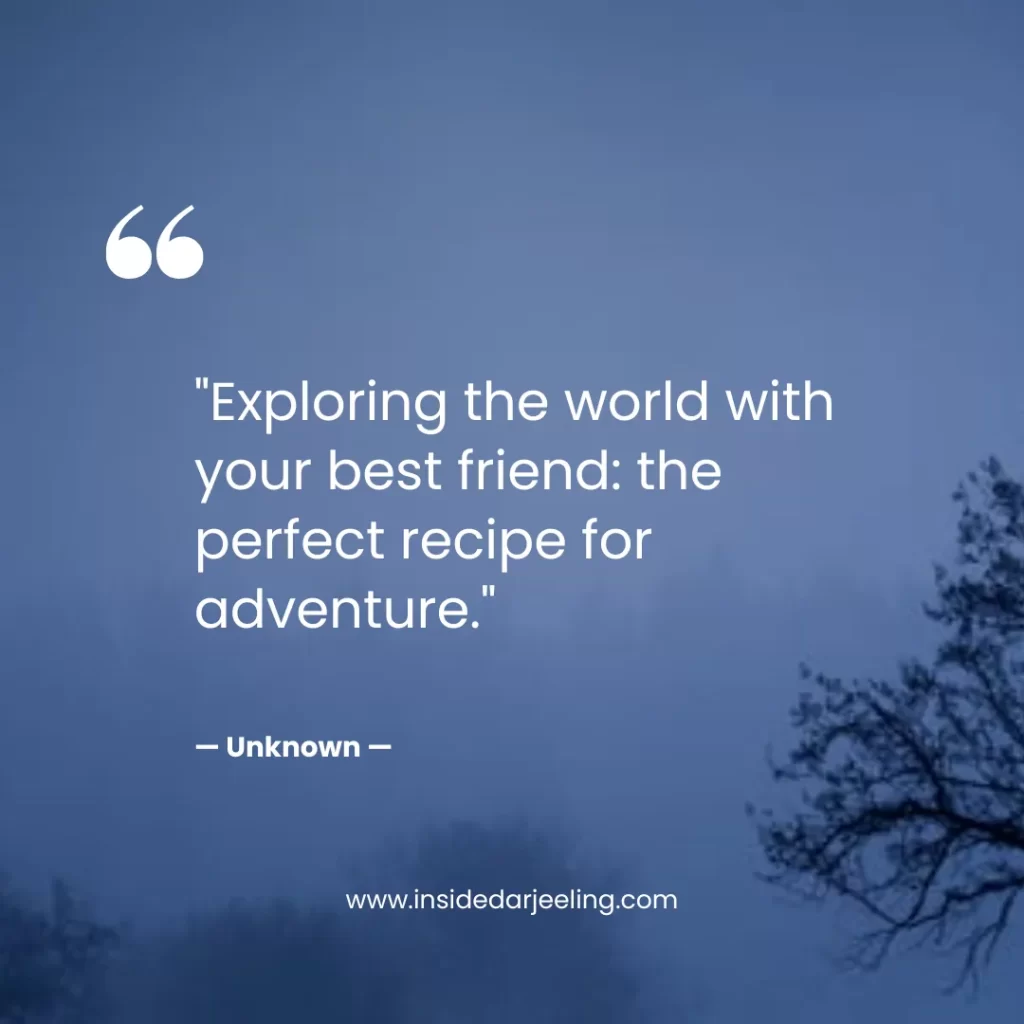 Exploring the world with your best friend: the perfect recipe for adventure