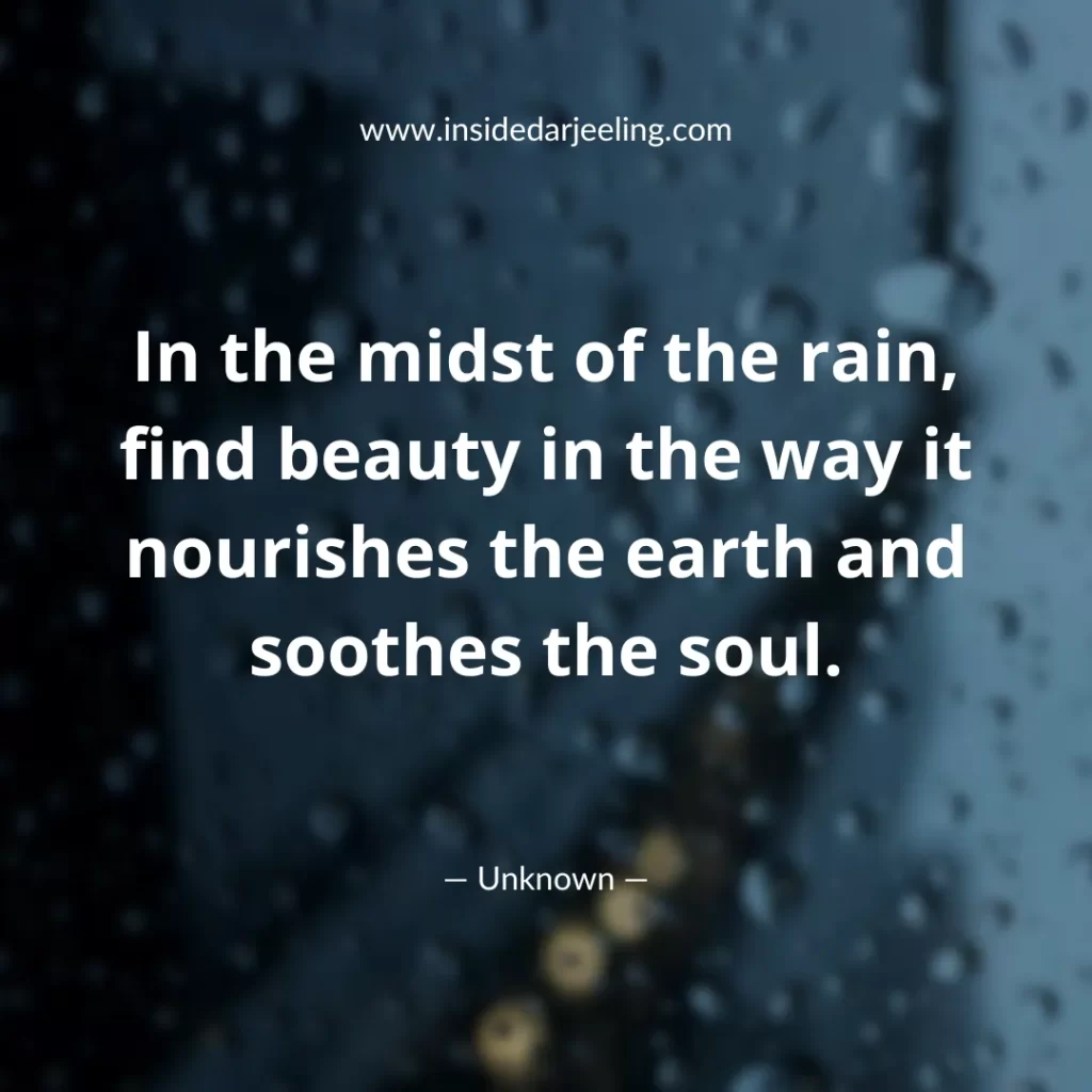 In the midst of the rain, find beauty in the way it nourishes the earth and soothes the soul
