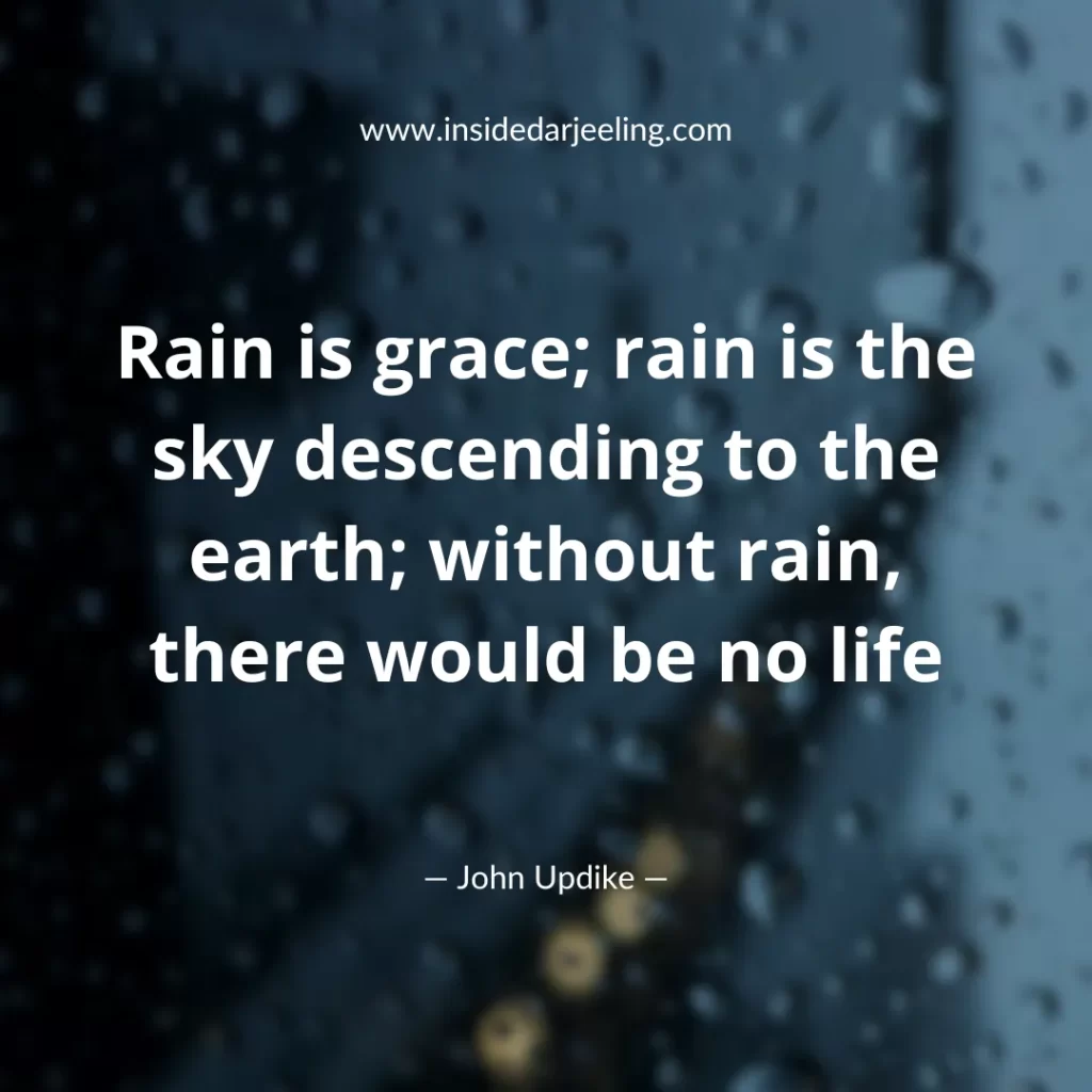 Rain is grace; rain is the sky descending to the earth; without rain, there would be no life
