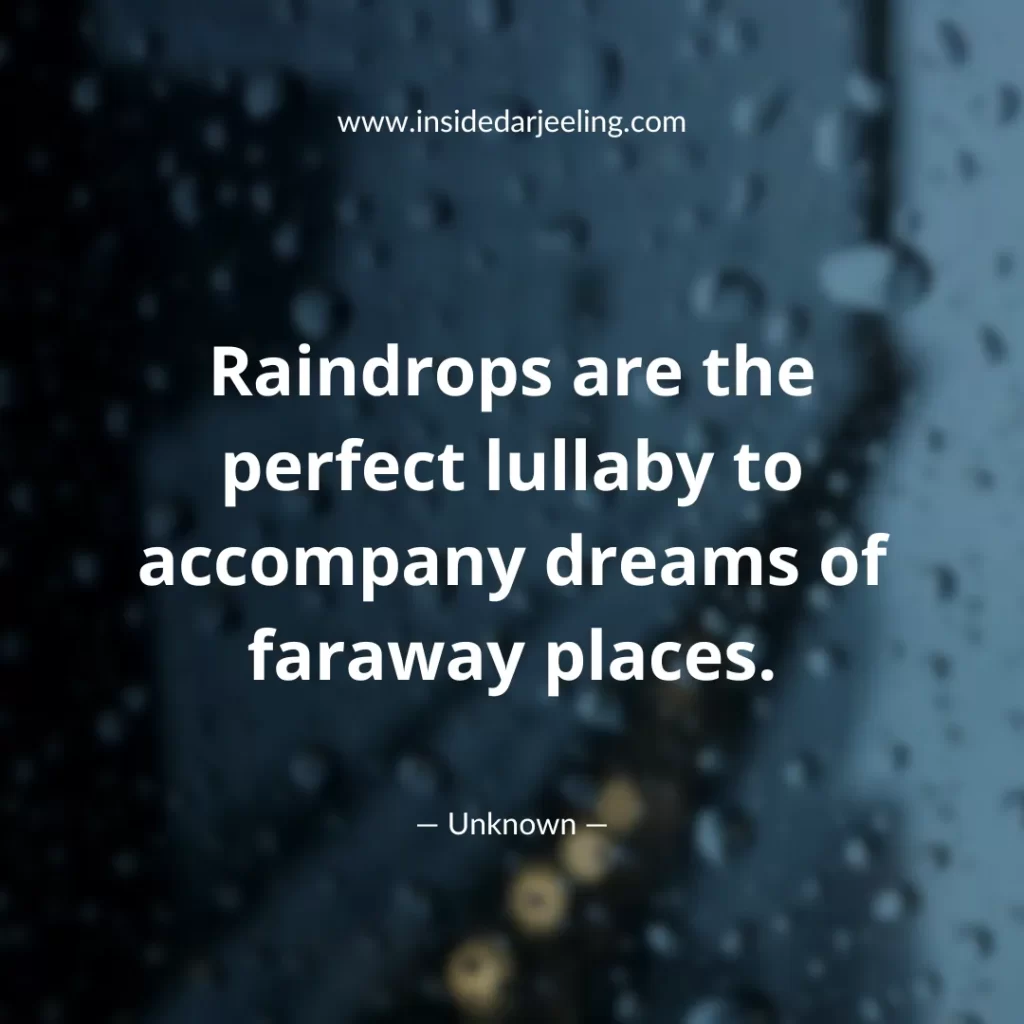 Raindrops are the perfect lullaby to accompany dreams of faraway places