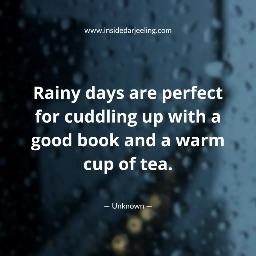 Rainy days are perfect for cuddling up with a good book and a warm cup of tea