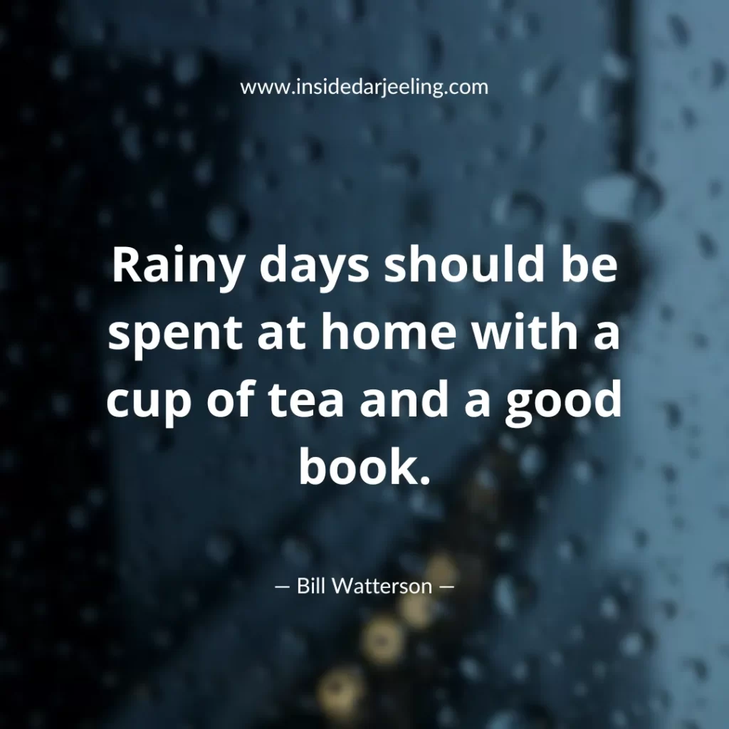 Rainy days should be spent at home with a cup of tea and a good book