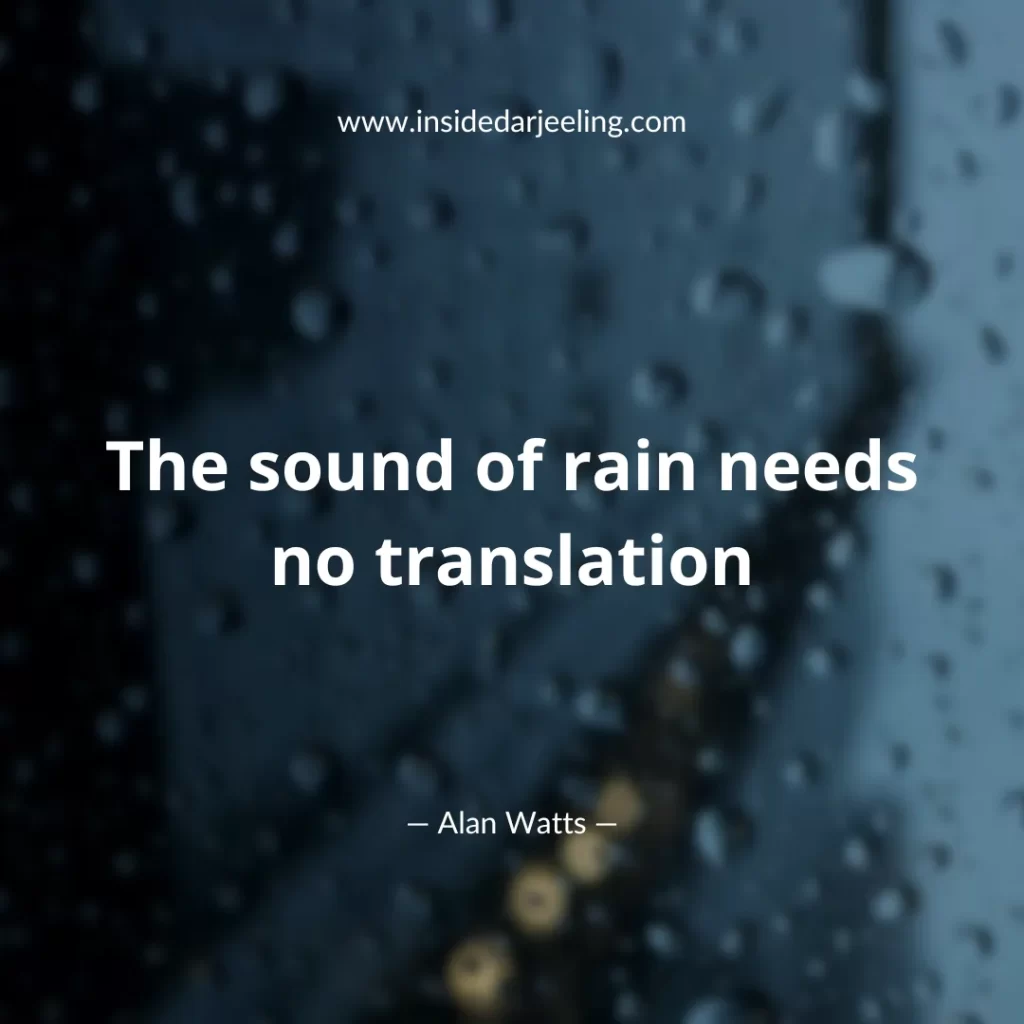 The sound of rain needs no translation